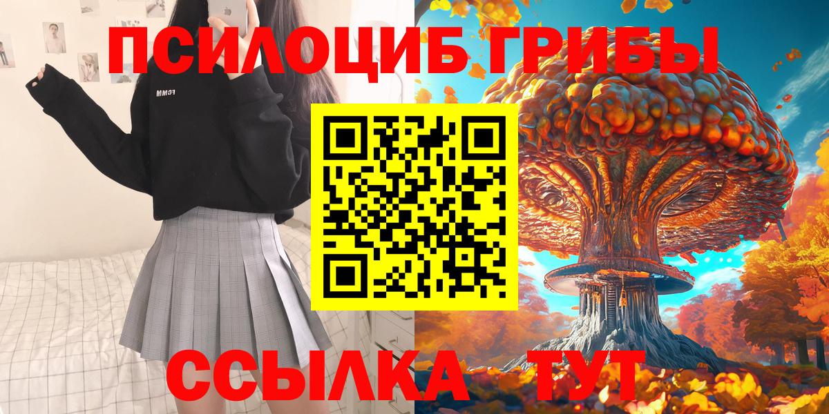 Псилоцибиновые грибы GOLDEN TEACHER  Псилоцибиновые грибы MAGIC MUSHROOMS  Чапаевск  Вход с VPN 